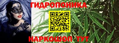 эйфоретик Славгород
