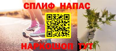 хмурый Сланцы
